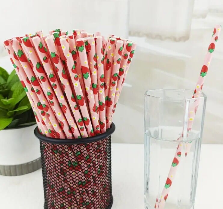 Our Watermelon Designed paper straws that are great for summer BBQ, pool parties, birthday parties, beach bashes,  baby showers & much more!