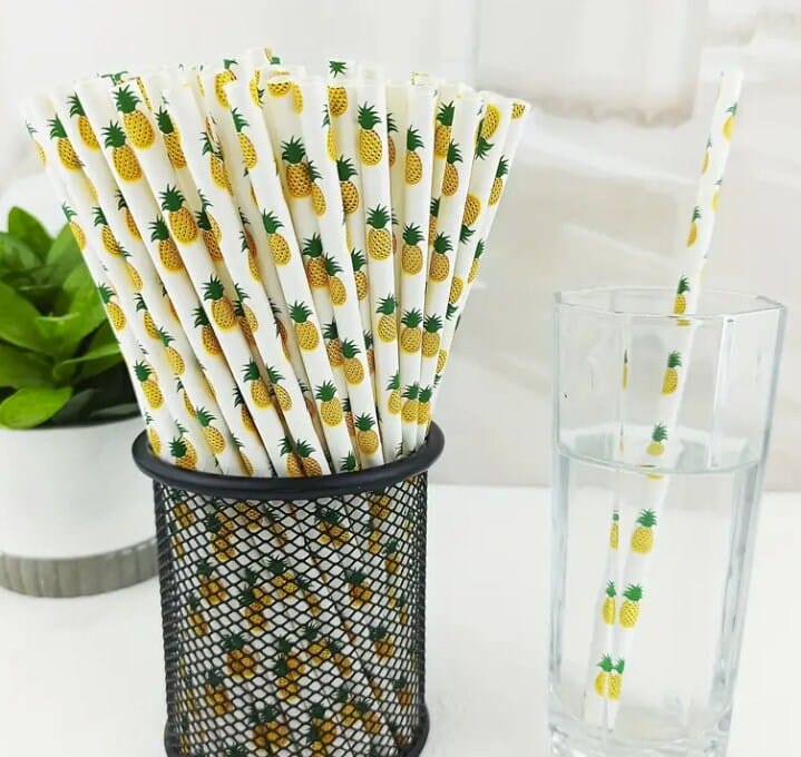 Our Watermelon Designed paper straws that are great for summer BBQ, pool parties, birthday parties, beach bashes,  baby showers & much more!