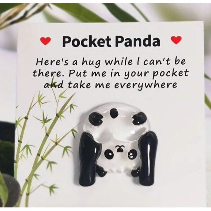 Pocket Hug Panda: Cute Birthday Gift with Poem Card